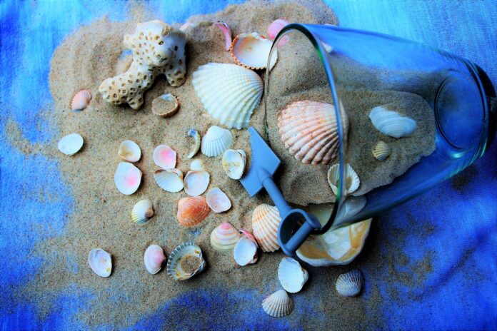 zabawy z piaskiem - piasek, muszelki